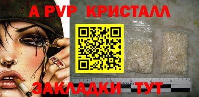 стаф Моздок