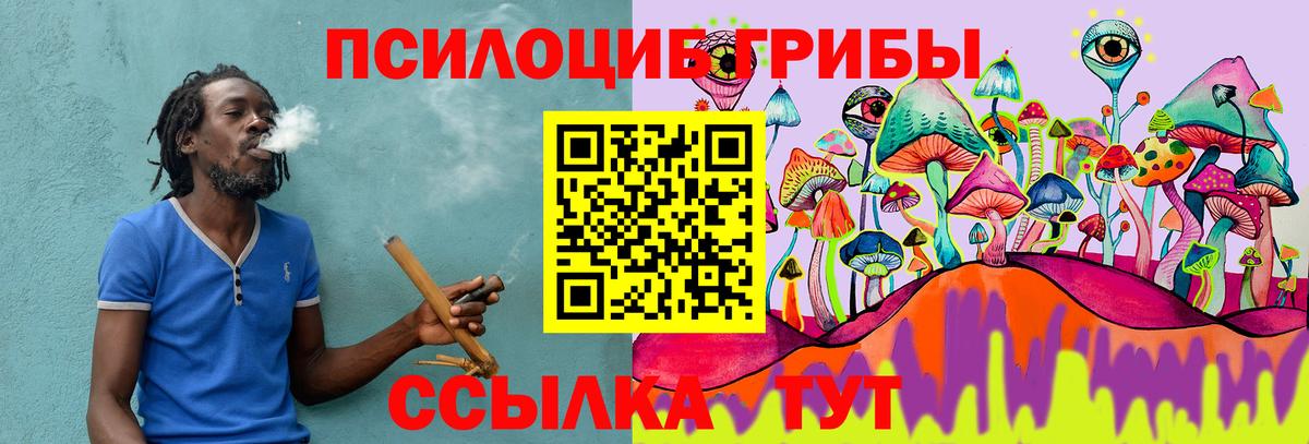 Псилоцибиновые грибы мухоморы  Псилоцибиновые грибы GOLDEN TEACHER  Усолье-Сибирское  Вход с VPN 